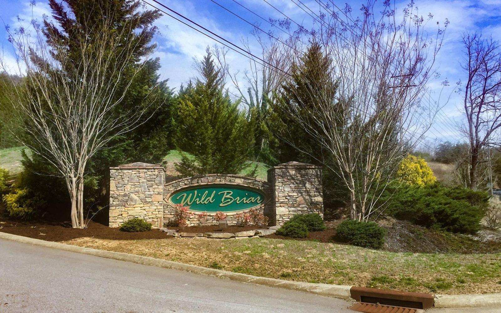 Splash Mansion Sevierville Zewnętrze zdjęcie